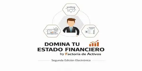 Estado Financiero - Factoría D.