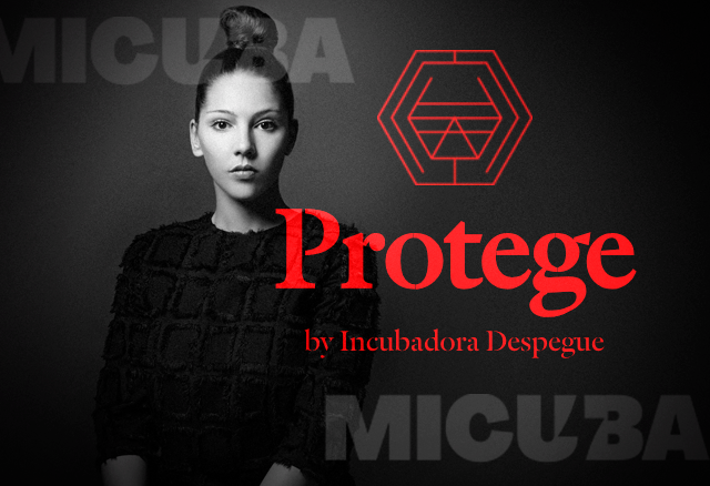 Programa de Certificaciones Protege - Incubadora Despegue