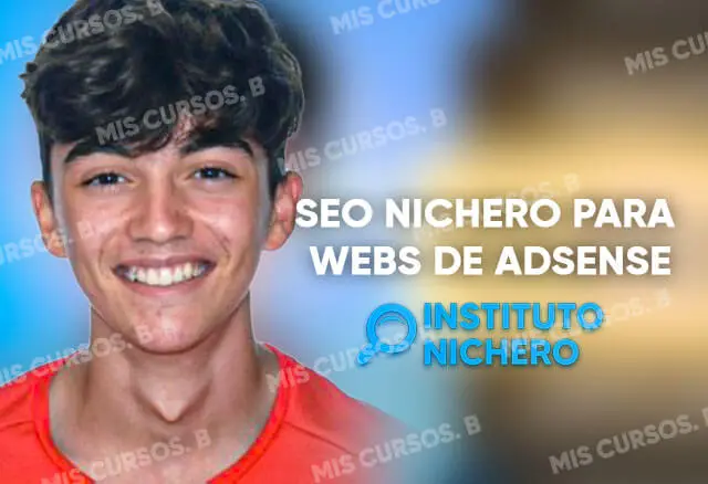 SEO Nichero para Webs
