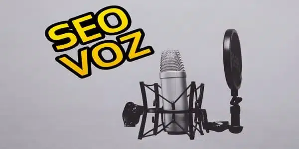 SEO por Voz - Natan V.