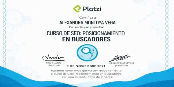 SEO POSICIONAMIENTO EN BUSCADORES